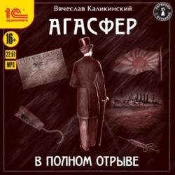 В полном отрыве (Аудиокнига)