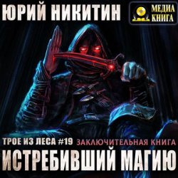 Трое из леса. Истребивший магию (Аудиокнига) читает Чернов Александр