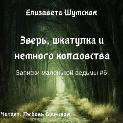 Зверь, шкатулка и немного колдовства (Аудиокнига)