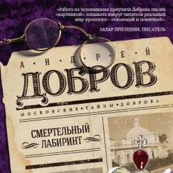 Смертельный лабиринт (Аудиокнига) читает Клейнберг Борис