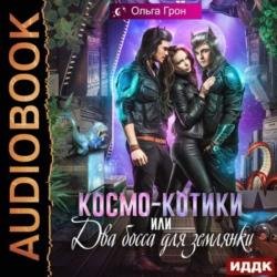 Космо-котики, или Два босса для землянки (Аудиокнига)