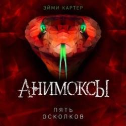 Пять Осколков (Аудиокнига)