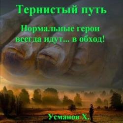 Тернистый путь. Нормальные герои всегда идут… в обход! (Аудиокнига)