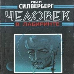 Человек в лабиринт (Аудиокнига)