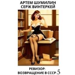 Ревизор: возвращение в СССР 5 (Аудиокнига)