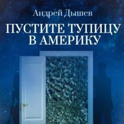 Пустите тупицу в Америку (Аудиокнига)