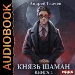 Князь шаман. Книга 1 (Аудиокнига)