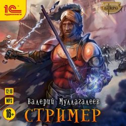 Стример (Аудиокнига)