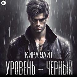 Уровень – Черный (Аудиокнига)