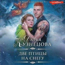 Две птицы на снегу (Аудиокнига)