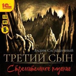 Третий сын. Стремительное падение (Аудиокнига)