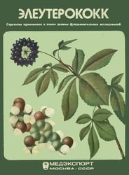 Элеутерококк. Стратегия применения и новые данные фундаментальных исследований