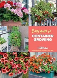 Easy Guide To Container Growing (Amateur Gardening) 2025